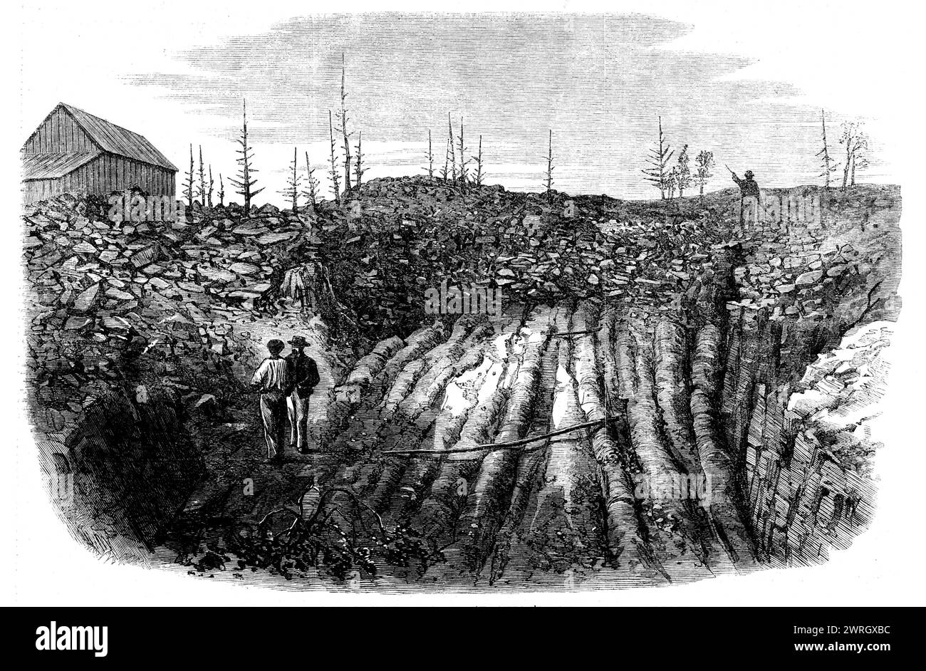 Nova Scotian Goldfields: Horizontale Formation von Ohrquarz auf Laidlaw's Farm, [Kanada], 1862. Gravur einer Fotografie von Captain W. D. Tompson vom 17. Regiment. Eine der bemerkenswertesten Ablagerungen von Edelquarz, die bisher gefunden wurden, ist zweifellos die auf Laidlaw's Farm in Nova Scotia. Die wichtigsten Bauwerke befinden sich hier in der Nähe des Gipfels eines Hügels aus harten metaphorischen Schiefern, wo Öffnungen in einer Tiefe von etwa vier oder fünf Fuß auf einem fast horizontalen Bett aus Wellquarz von acht bis zehn Zoll Dicke gemacht wurden. Diese Kaution ist entir Stockfoto
