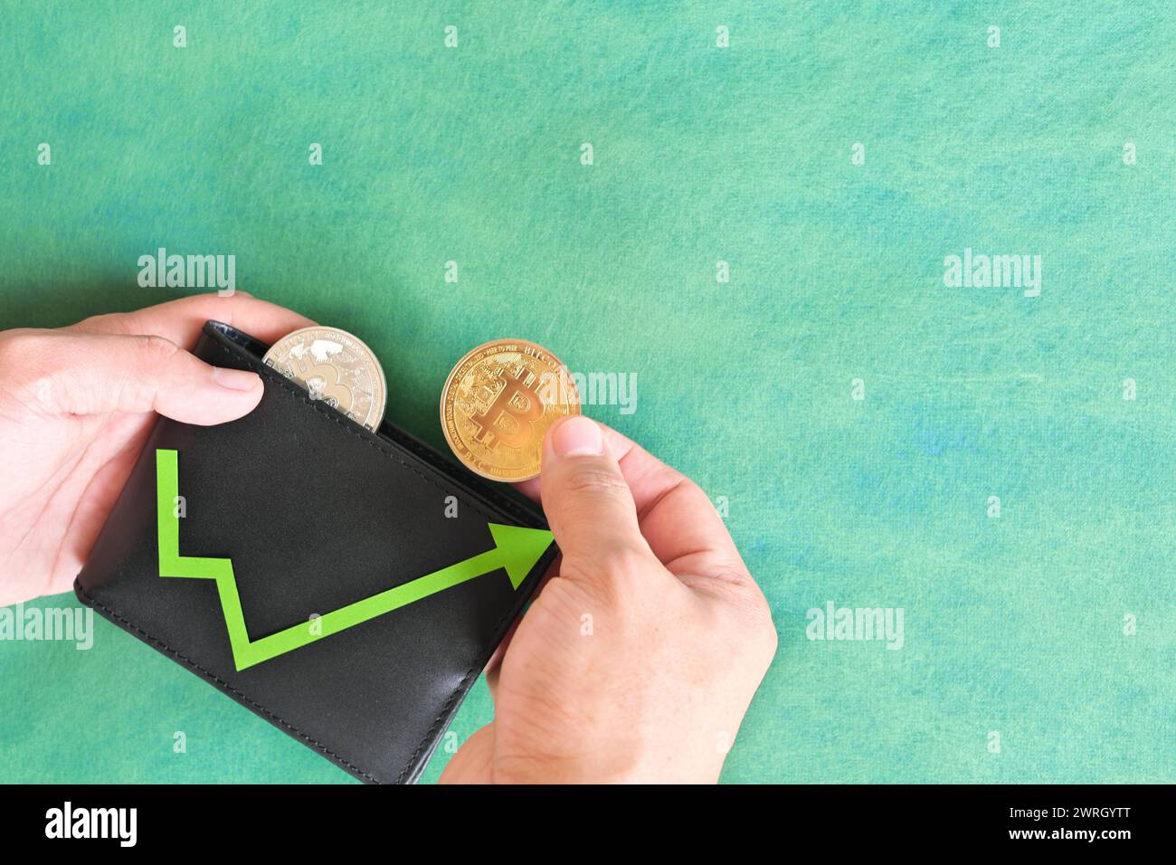 Menschliche Hand, die schwarz eine Brieftasche mit Bitcoin und aufwärts grüner Pfeilmünze hält. Kryptowährungs-Bull-Run und Bewertungssteigerung Konzept. Stockfoto