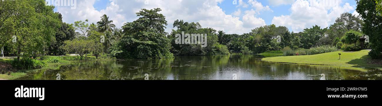 Panorama des Eco Lake, eine wichtige Attraktion im Botanischen Garten von Singapur, der den natürlichen Lebensraum der Sumpfgebiete der Region nachahmt Stockfoto