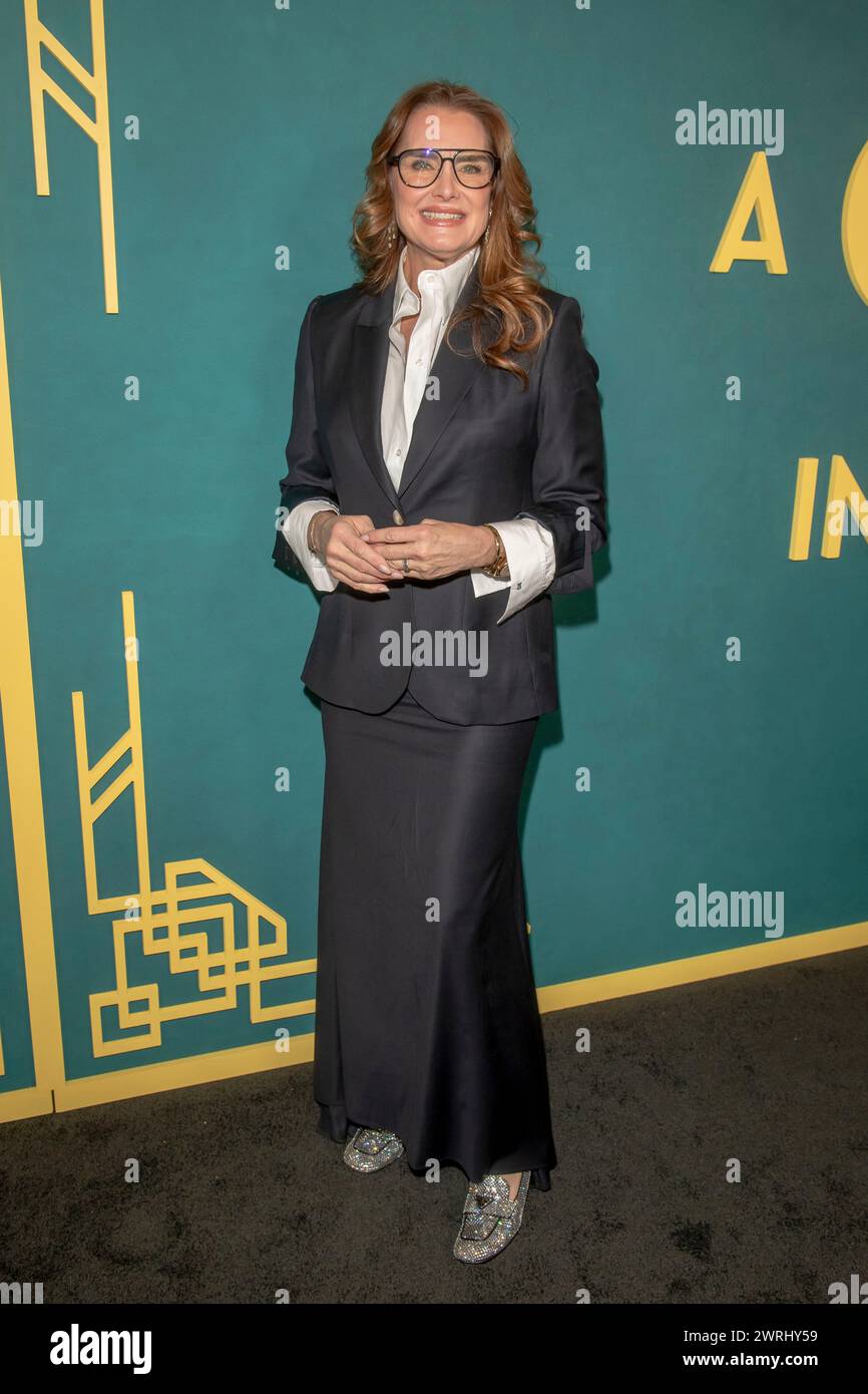 New York, Usa. März 2024. NEW YORK, NEW YORK – 12. MÄRZ: Brooke Shields nimmt am 12. März 2024 in New York City an der Premiere von „A Gentleman in Moscow“ im Museum of Modern Art Teil. Quelle: Ron Adar/Alamy Live News Stockfoto