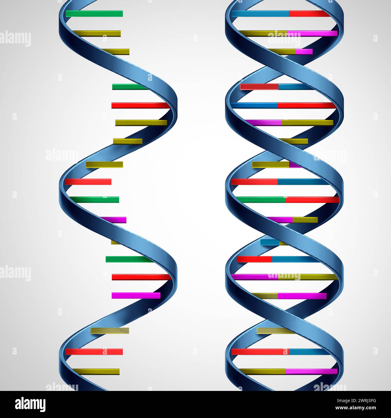 RNA- und DNA-Konzept als Desoxyribonukleinsäure oder Ribonukleinsäure als biologische Moleküle als Symbol der Evolution des Lebens und der Genetik Stockfoto