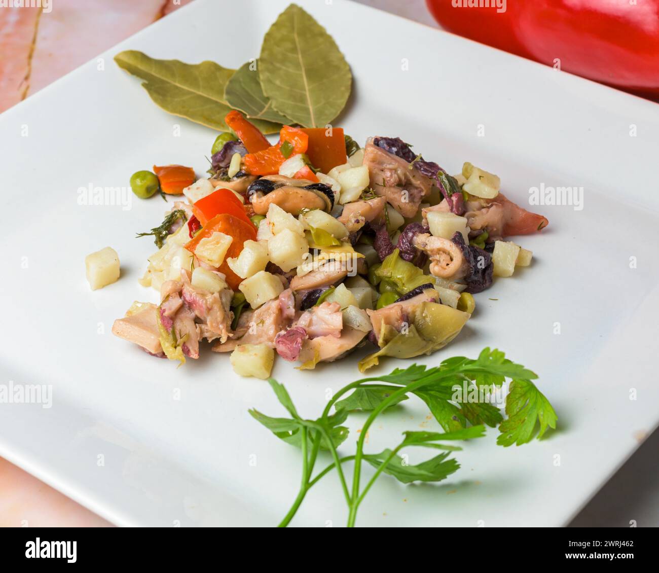 Ein gut präsentierter Kraken-Salat mit gewürfeltem Gemüse garniert mit Petersilie auf einem weißen Teller, typisches Essen, typisch mediterrane mallorquinische Küche Stockfoto