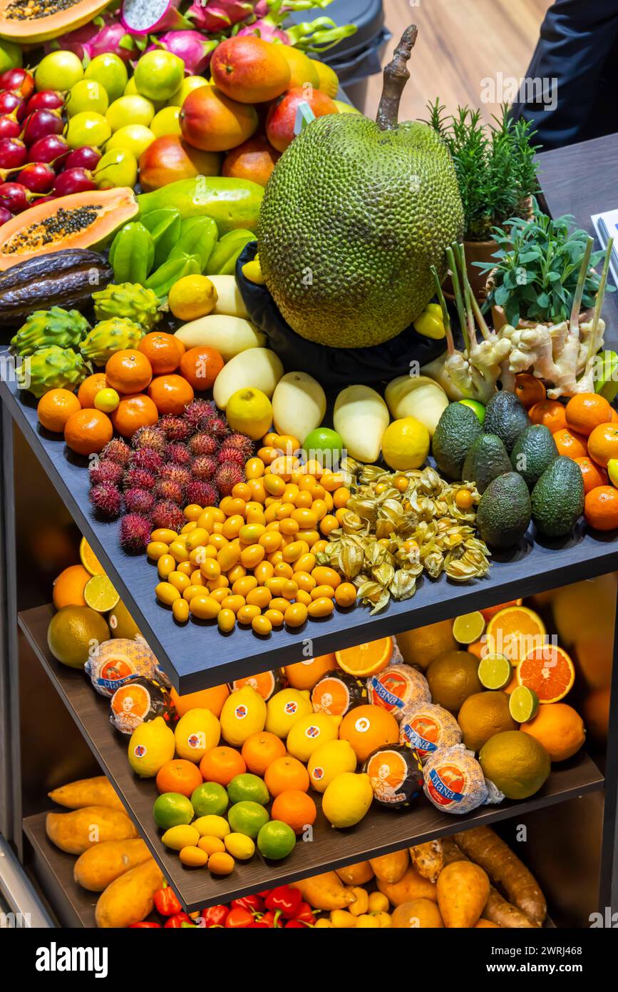 Exotische Früchte, Litschi, Jackfrucht, Drachenfrucht, Mango und Zitrusfrüchte auf einem Tisch präsentiert, Deutschland Stockfoto