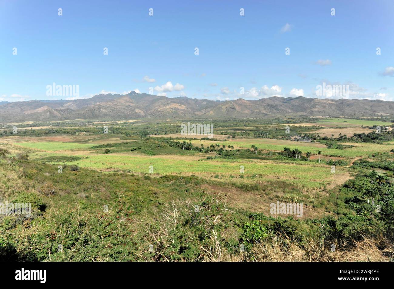 Weite Landschaft mit Bergen und Tälern, Tal der Zuckermühle, unter blauem Himmel in Kuba, Kuba, Zentralamerika Stockfoto