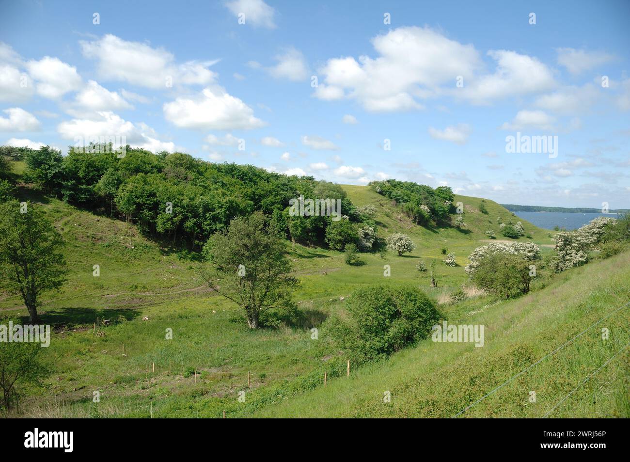 Grüne Landschaft, blauer Himmel mit Wolken Stockfoto