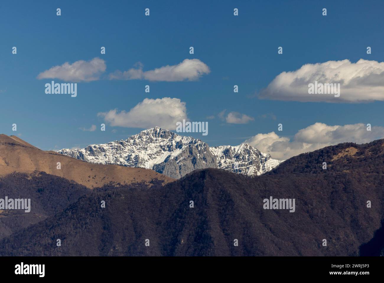 Braune Hänge am Comer See, hinter der Grigna-Gruppe, italienische Alpen, Lombardei, Italien Stockfoto