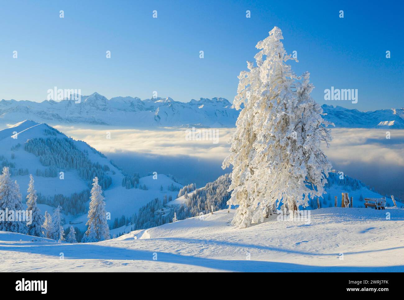 Blick von Rigi, Schweiz Stockfoto