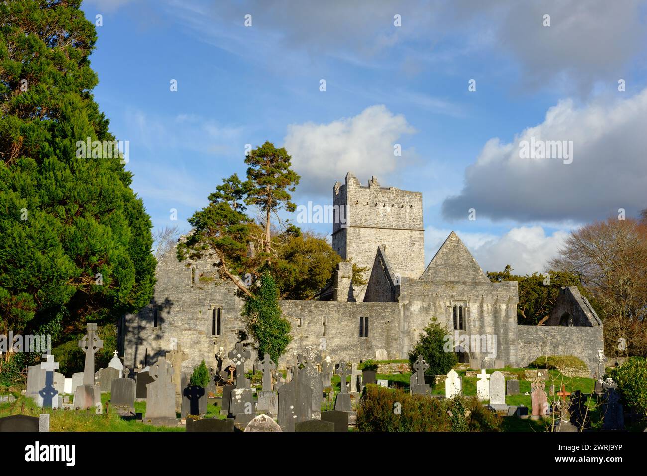 Die gotischen Bauruinen der Muckross Abbey und der alte Friedhof im Killarney National Park, County Kerry, Irland Stockfoto