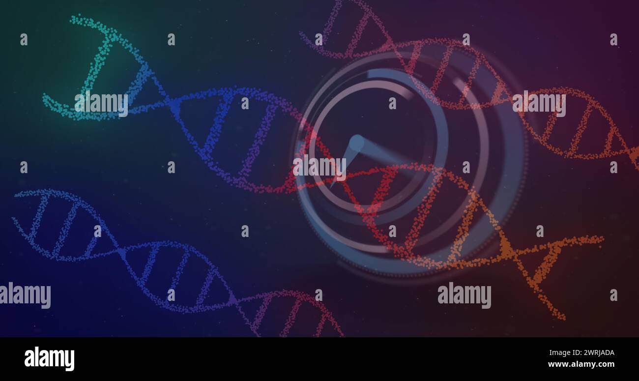 Bild von bunten rotierenden DNA-Strängen und beweglicher Uhr über blauem und violettem Hintergrund Stockfoto
