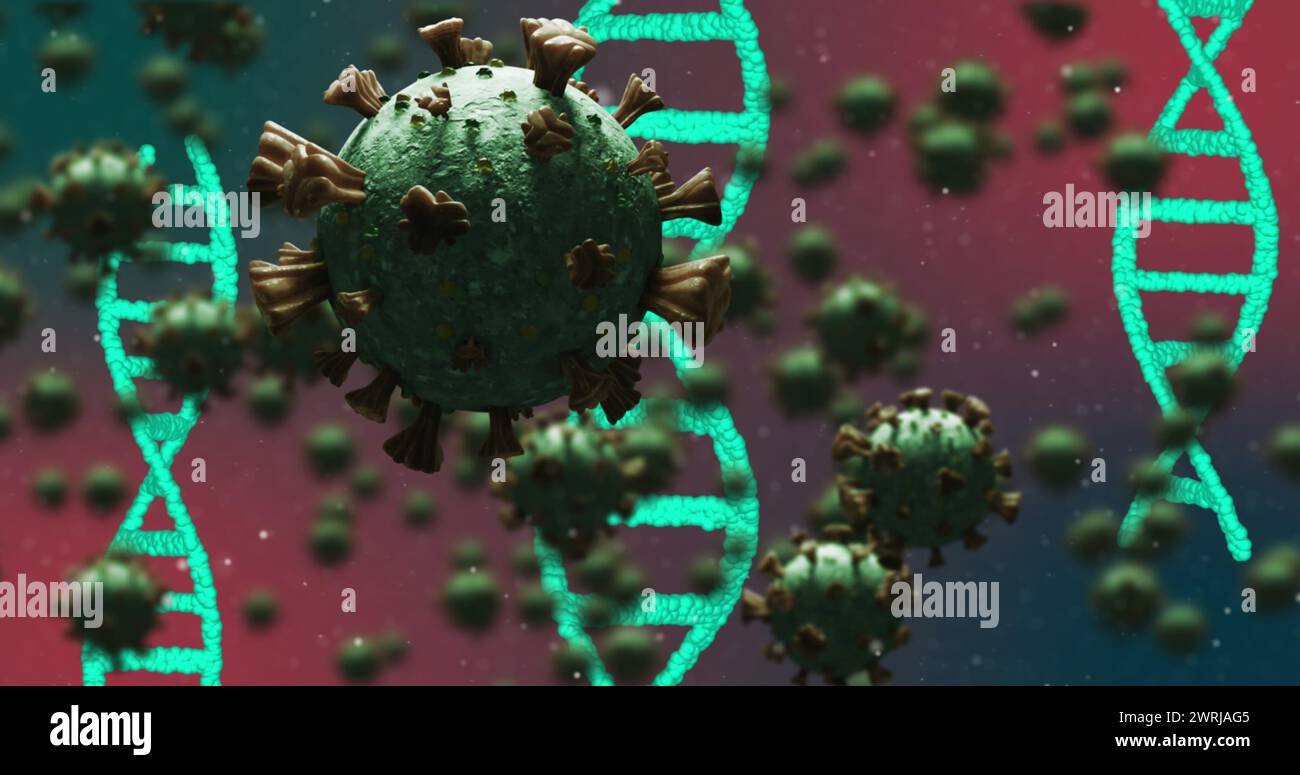 Bild von 3D-Coronavirus-COVID-19-Zellen, die sich mit rotierenden DNA-Strängen ausbreiten Stockfoto