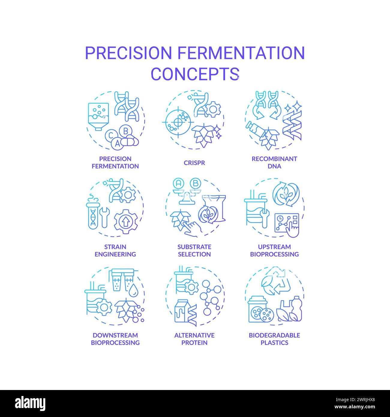 Symbole für das Konzept des blauen Gradienten für die Präzisionsfermentation Stock Vektor