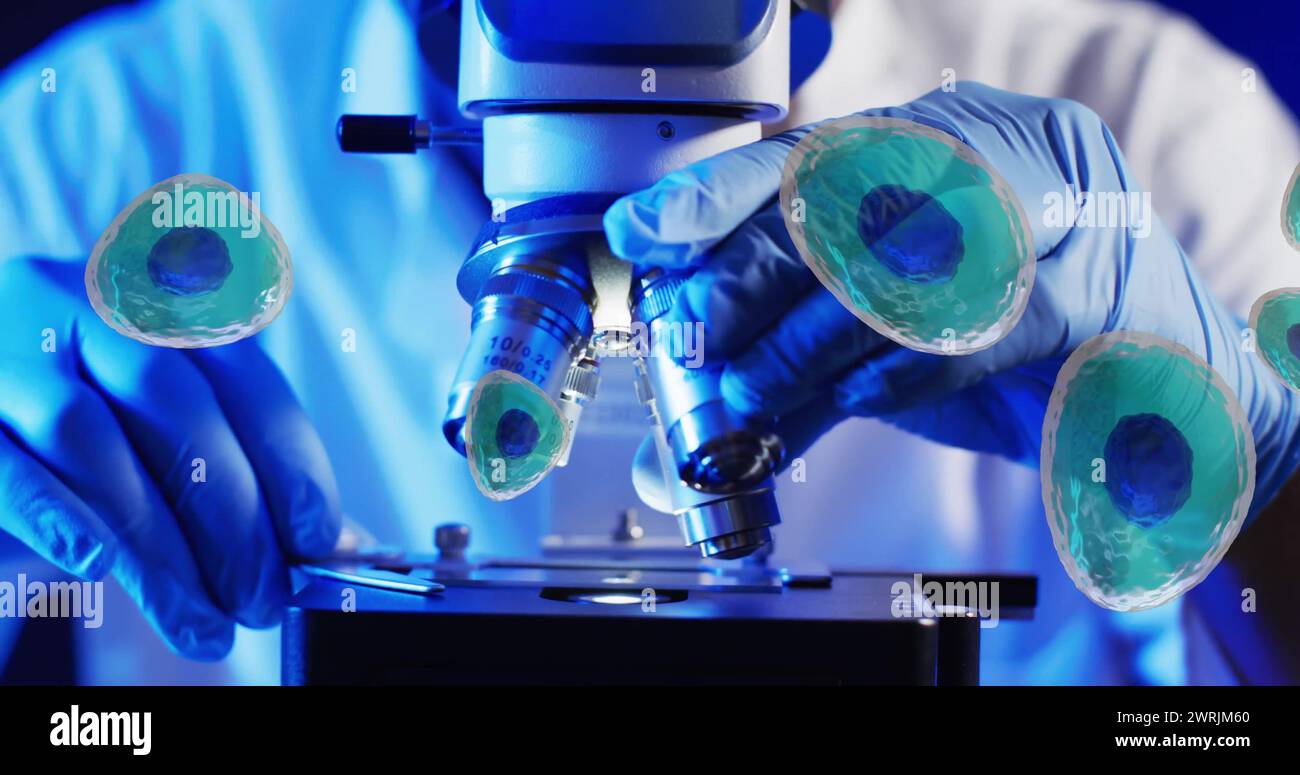 Bild der weißen Blutkörperchen über Wissenschaftler mit Labormikroskop auf blauem Hintergrund Stockfoto