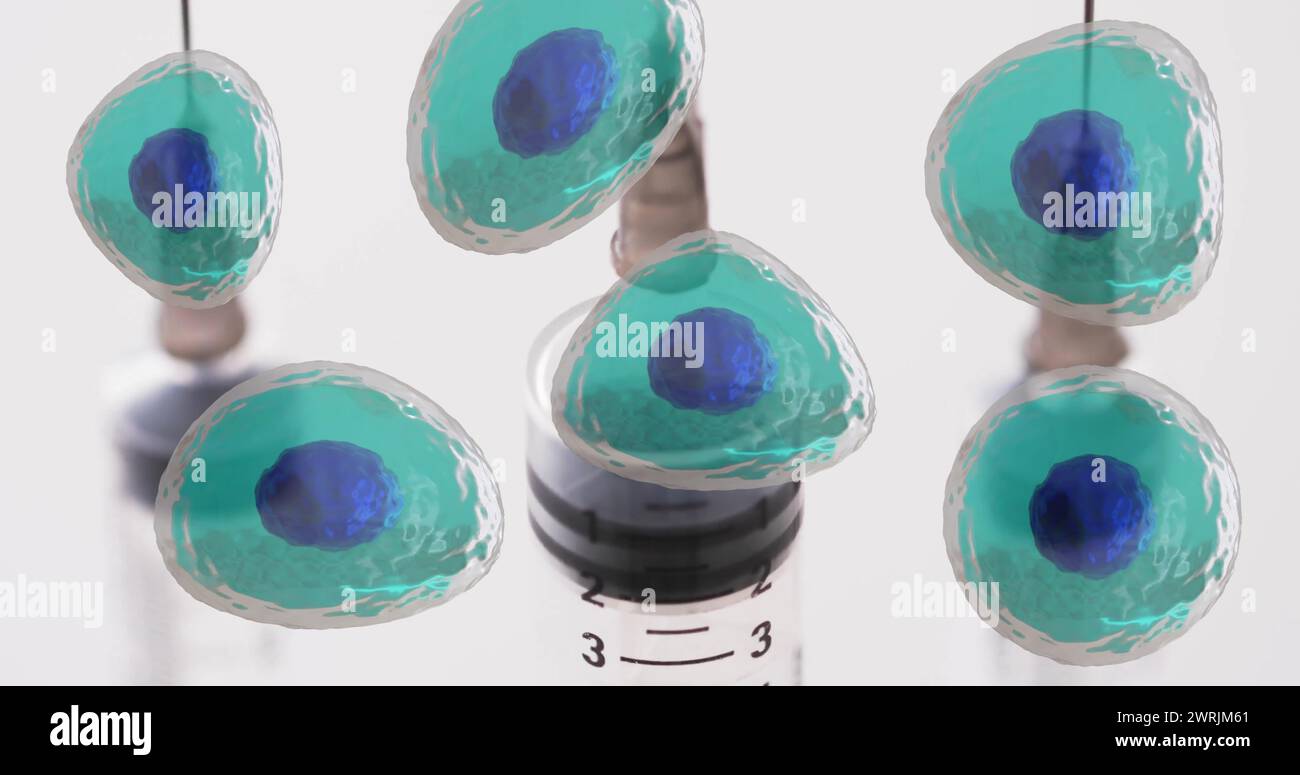 Bild der weißen Blutkörperchen über Laborschalen auf grauem Hintergrund Stockfoto