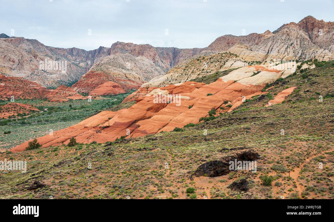 Der Snow Canyon State Park ist ein State Park in Utah im Red Cliffs Desert Reserve, USA Stockfoto