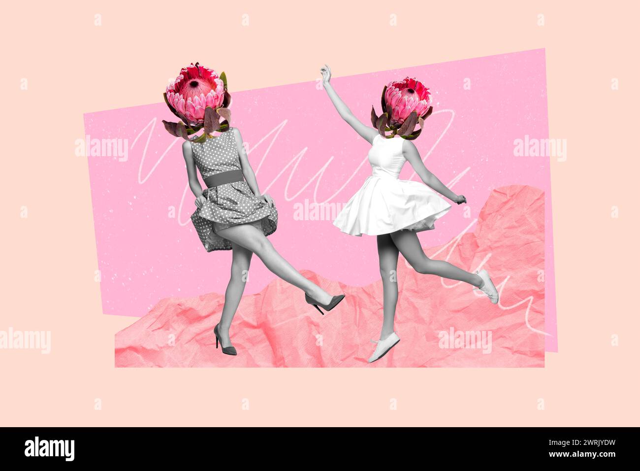 Trend-Artwork-Skizze 3D-Fotocollage von zwei jungen Tänzerinnen kopflos Protea Flower in der Frühlingssaison am 8. märz Stockfoto
