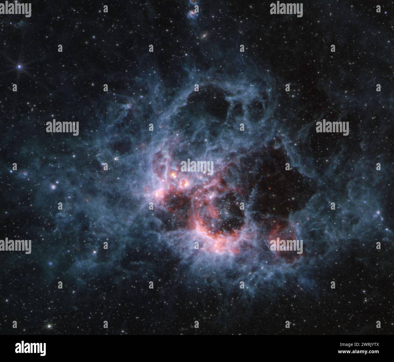 WELTRAUM NGC 604 - 26. Februar 2024 - dieses Bild vom James Webb Space Telescope der NASA, MIRI (Mid-Infrared Instrument) der Sternentstehungsregion NGC Stockfoto