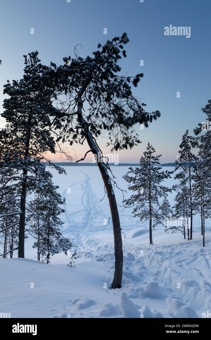 Hausgemachte Langlaufloipen durch den Wald bis zum Rand des gefrorenen Lake Oulujärvi in der Region Kajaani in Zentralfinnland. Die Stadt Kajaani und die umliegende Region Kainuu sind eine ruhige Oase des echten finnischen Lebens in der Ruhe und natürlichen Schönheit des finnischen Kernlandes. Die atemberaubende Naturlandschaft, einschließlich des wunderschönen Lake Oulujärvi, bietet eine idyllische Kulisse für Outdoor-Aktivitäten wie Angeln, Wandern, Skifahren und Motorschlittenfahrten. Stockfoto