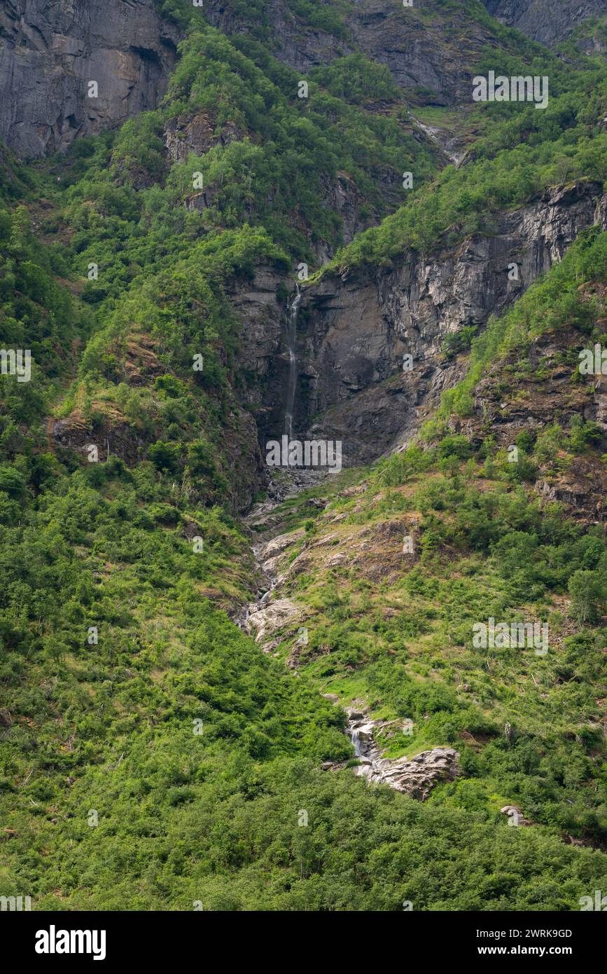 Blick auf die Natur des norwegischen Fjordbergs mit Wasserfall und grünen Bäumen am Fuße des Berges. Stockfoto