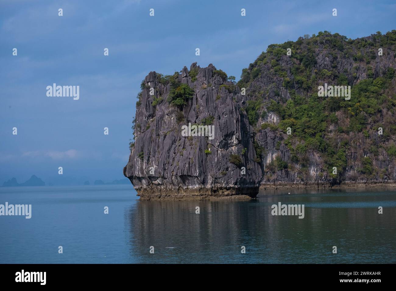 Aus den smaragdgrünen Gewässern der Halong-Bucht, Vietnam, entspringt eine Kalksteinkarstinsel. Die Insel ist ein dramatischer Anblick, mit ihren steilen Klippen, die Hunderte von Stockfoto Aus den smaragdgrünen Gewässern der Halong-Bucht, Vietnam, entspringt eine Kalksteinkarstinsel. Die Insel ist ein dramatischer Anblick, mit ihren steilen Klippen, die Hunderte von Stockfoto