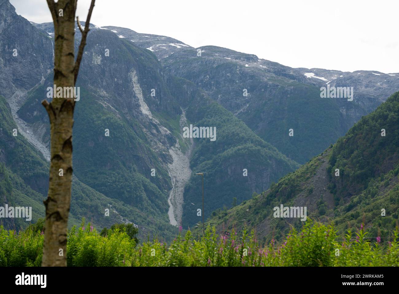 Naturblick auf die norwegischen Fjordberge mit Felsen, auf denen grüne Bäume wachsen und es gab eine Lawine von Schnee. Stockfoto