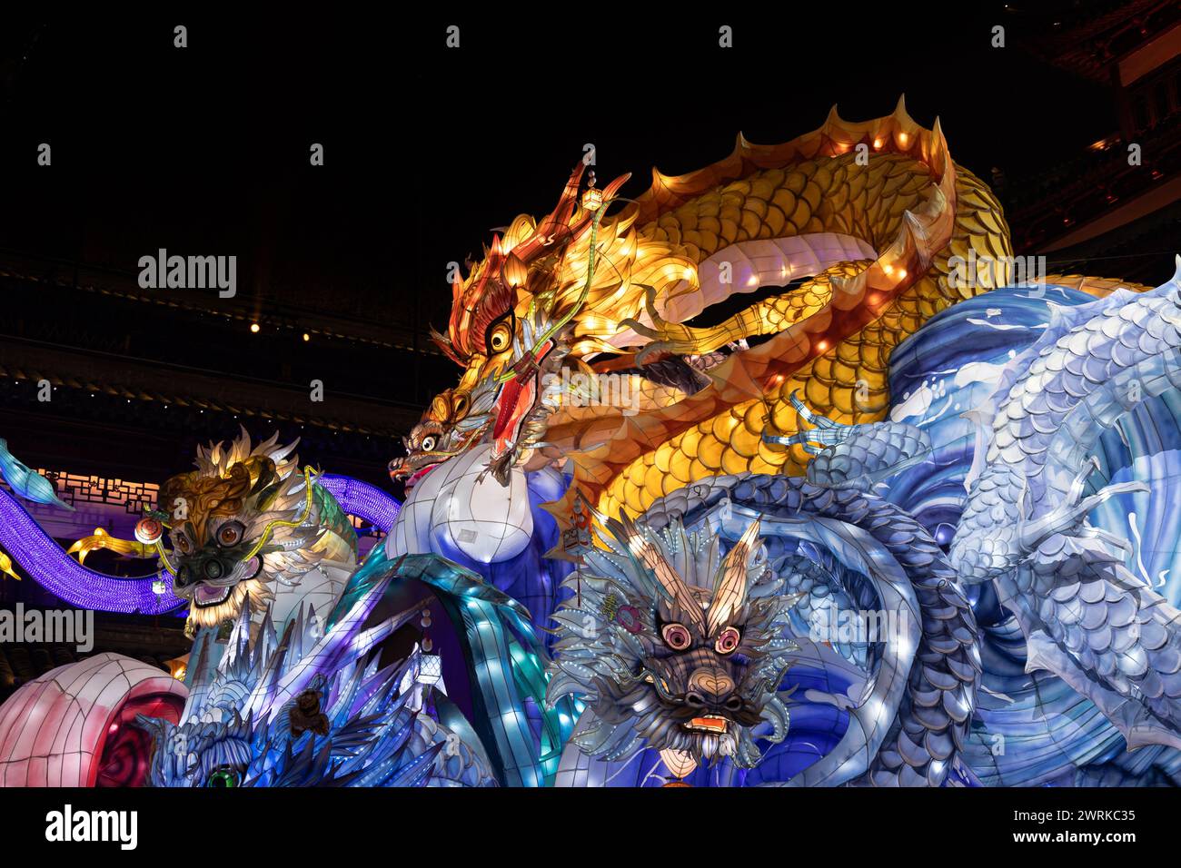 Wunderschön gefärbter Drache während des chinesischen Neujahrs in Shanghai, China Stockfoto