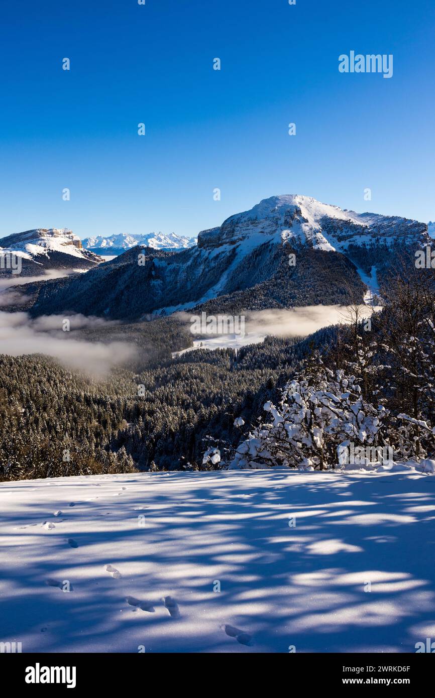 Sommet du Chamechaude, Point culminant du parc naturel régional de Chartreuse, recouvert de neige au dessus d’une mer de nuages et entouré par la Dent Stockfoto