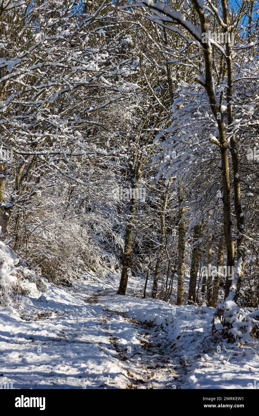 Chemin de randonnée dans la forêt à proximité du Lac de Lavalette, dans les Gorges du Lignon, sous les premières neiges de l’hiver Stockfoto