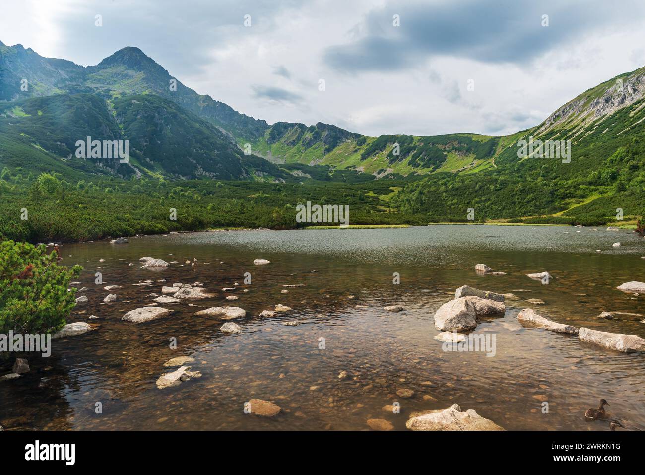 Velke Biele pleso See mit Predne Kopske sedlo und Jahnaci Stit Berggipfel oberhalb der Tatra in der Slowakei während des Sommernachmittags Stockfoto