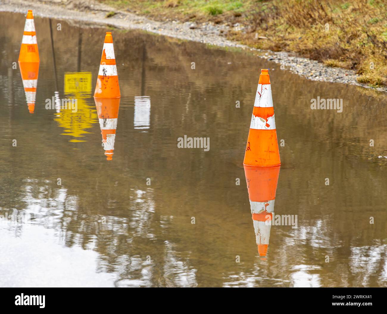 Eine Reihe von orangen Verkehrskegeln in einer Wasserpfütze Stockfoto