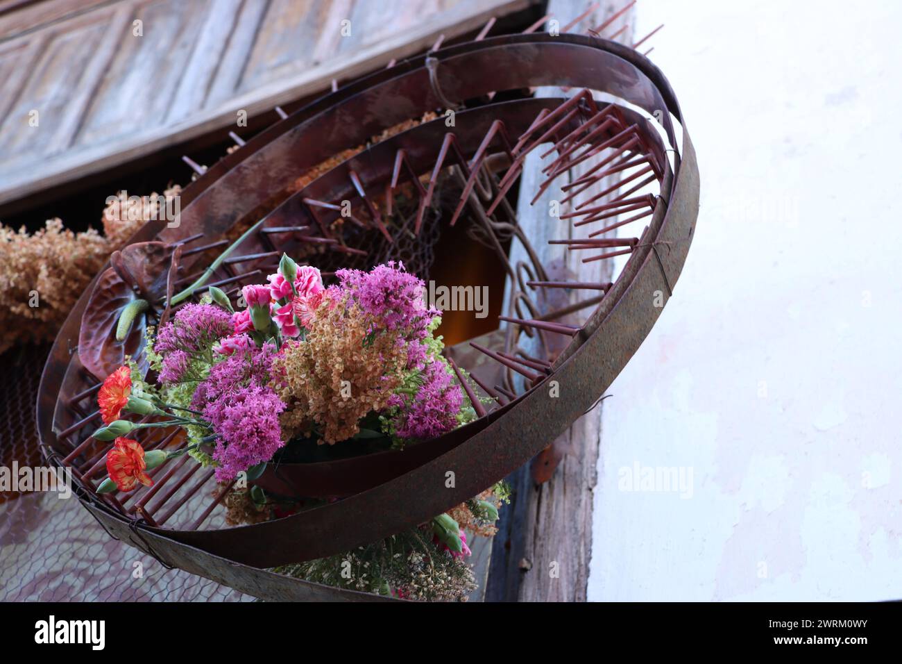 Kleine Blumenanordnung in einem Metallring mit Stacheln, auf einem Hintergrund aus altem Holzfenster und verwitterter Wand. blumenkunst. Stockfoto