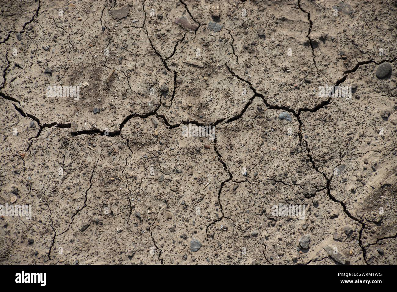 Trockene, rissige Schmutzstruktur für kreativen Hintergrund. Stockfoto