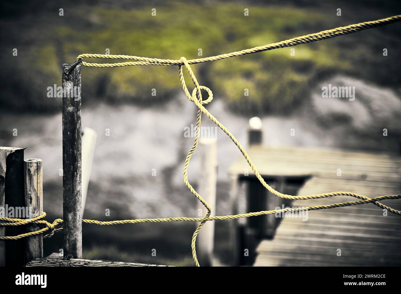 Gelbes Seil, das am Ende des Holzstegs befestigt ist Stockfoto