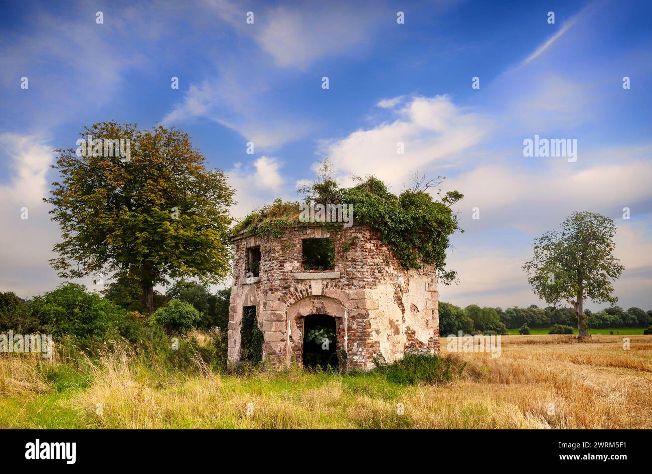 Eine achteckige Ruine in der Nähe von Moone, County Kildare, Irland, ist ein Überrest aus einer klassischen Darstellung von mutwilliger Extravaganz aus dem 18. Jahrhundert. Eine Geschichte in wh Stockfoto