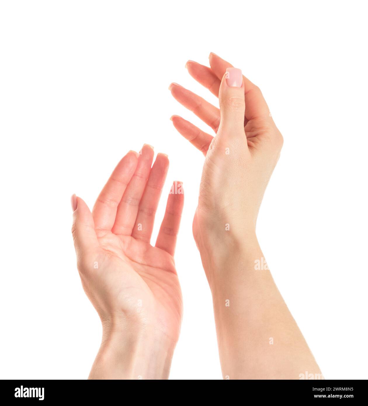 Hände. Leere, zwei Hände hoch, Betteln. Nahaufnahme von schönen weiblichen Händen isoliert auf weißem Hintergrund. Stockfoto