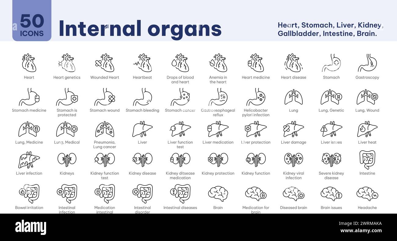 Ikonen der inneren Organe, Herz, Medizin, Bluttropfen, Magen, Gastroskopie, Blutungen, Magenkrebs, Lunge, Leber, Probleme, Infektionen, Nieren, INTES Stock Vektor