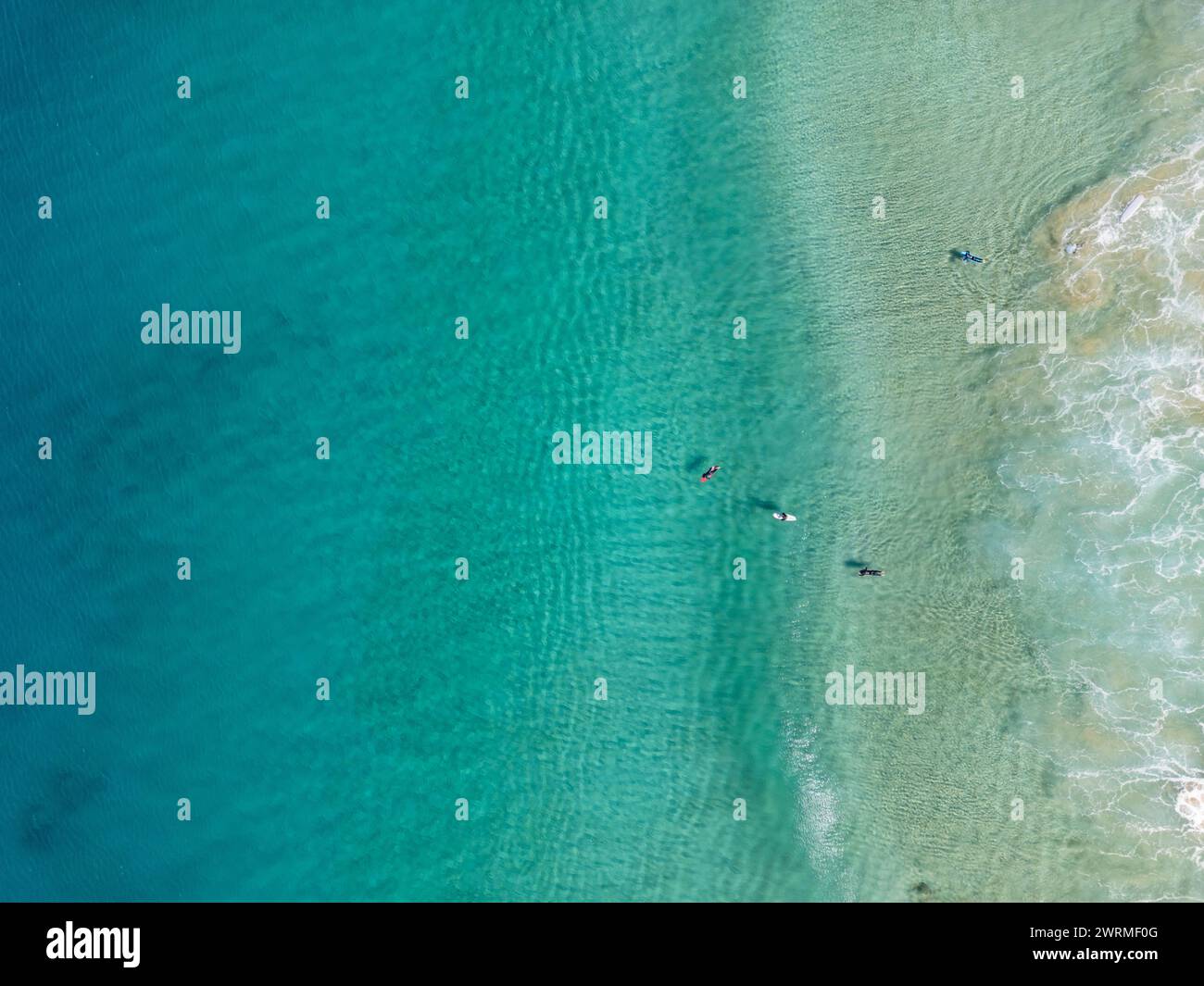 Dieses Bild der Drohne fängt eine ruhige Szene ein, in der Individuen im kristallklaren Wasser entlang der wunderschönen Küste von Fuerteventura schwimmen. Stockfoto