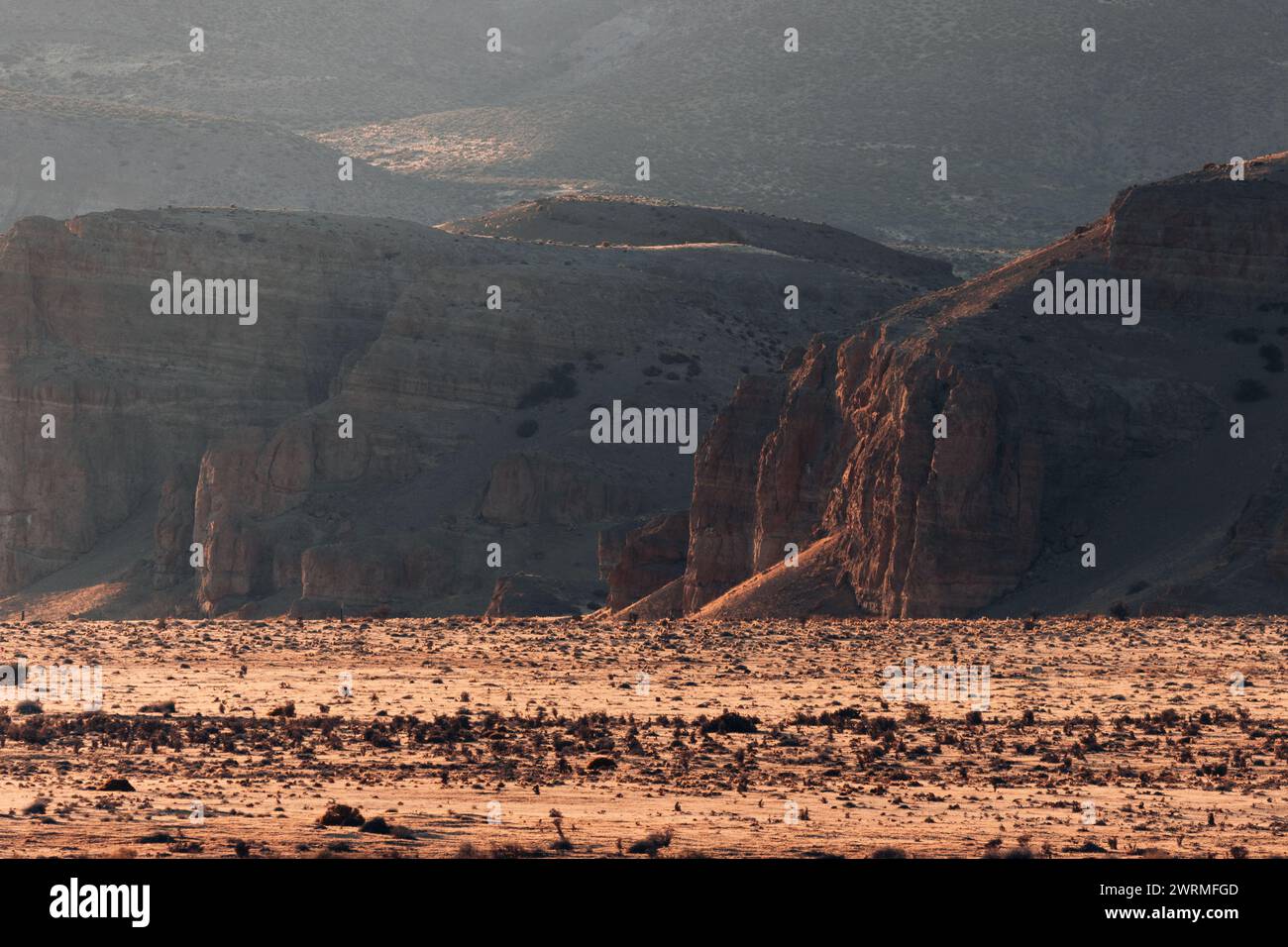 Das warme Licht des Sonnenuntergangs beleuchtet die zerklüfteten Hochebenen und karge Vegetation der patagonischen Wüste in einer bezaubernden, trockenen Landschaft Stockfoto