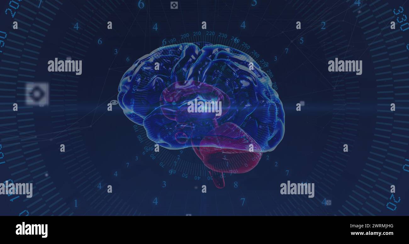Bild der Datenverarbeitung über dem Gehirn Stockfoto