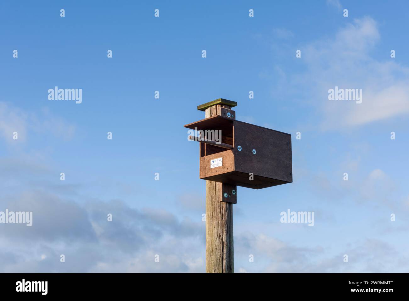 Ein Turmfalkennistkasten im Beacon Field in Stogumber, Somerset, England. Stockfoto