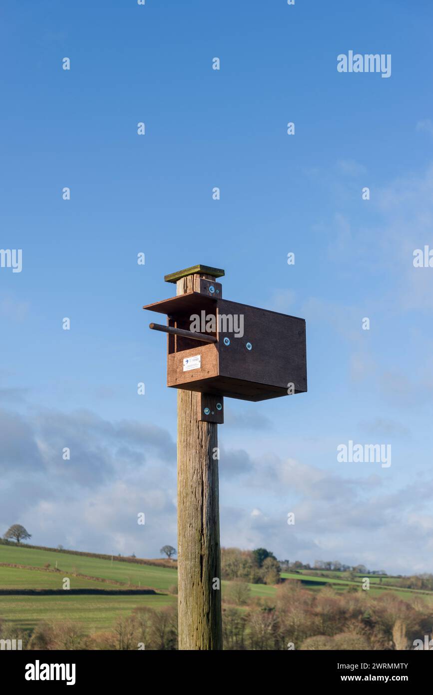 Ein Turmfalkennistkasten im Beacon Field in Stogumber, Somerset, England. Stockfoto