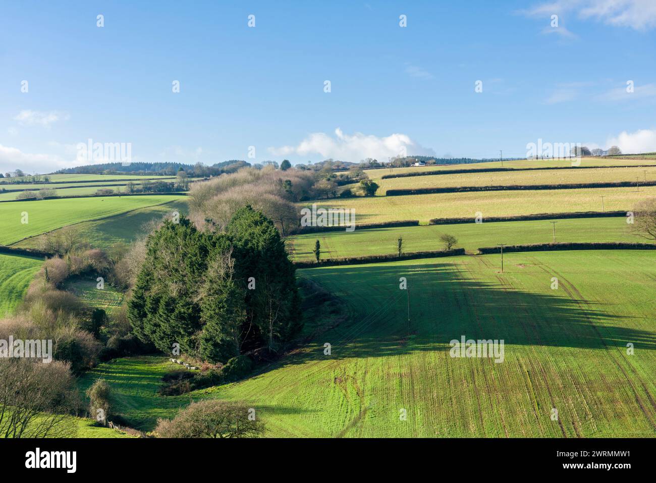 Am Fuße der Brendon Hills vom Beacon Field im Dorf Stogumber, Somerset, England. Stockfoto