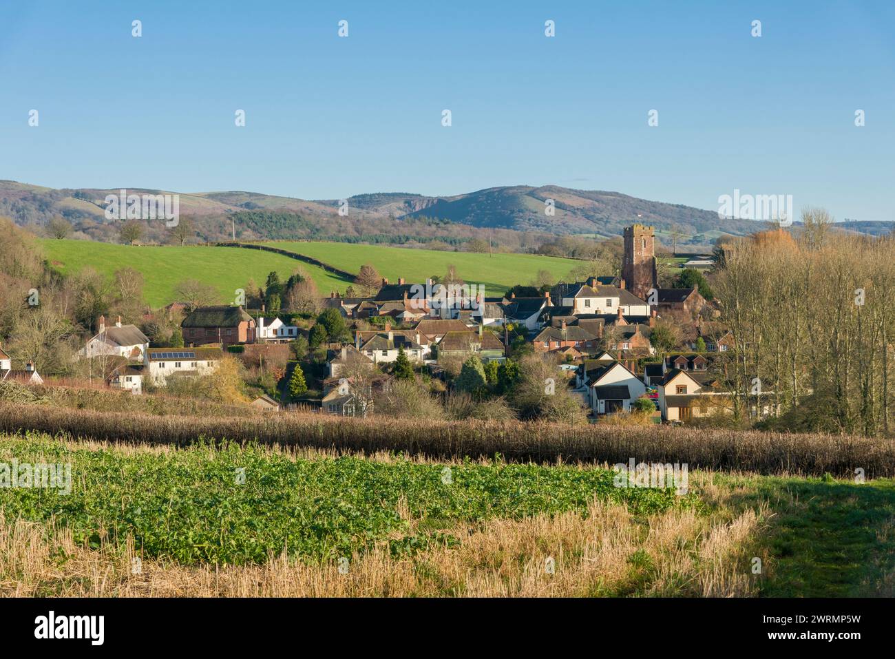 Das Dorf Stogumber im Winter mit der Westflanke der Quantock Hills jenseits von Somerset, England. Stockfoto