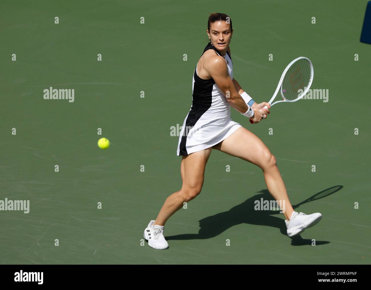Maria Sakkari (GRE) in Aktion bei den Dubai Duty Free Tennis Championships 2024 in Dubai, USA Stockfoto
