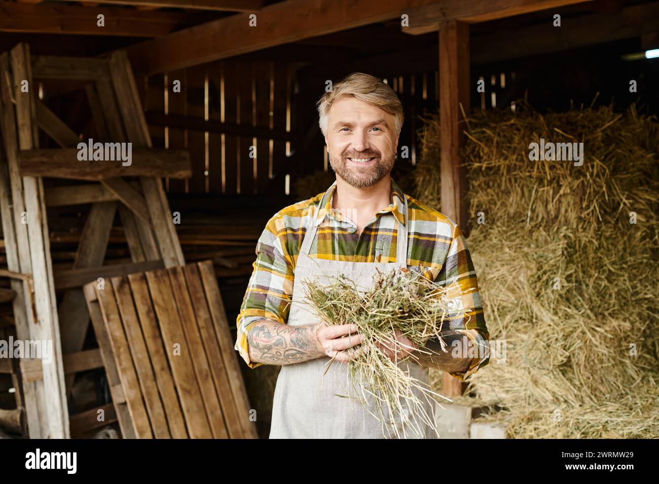 Fröhlicher, gut aussehender Bauer mit Bart und Tätowierungen, der Heu hält und auf der Farm in die Kamera lächelt Stockfoto