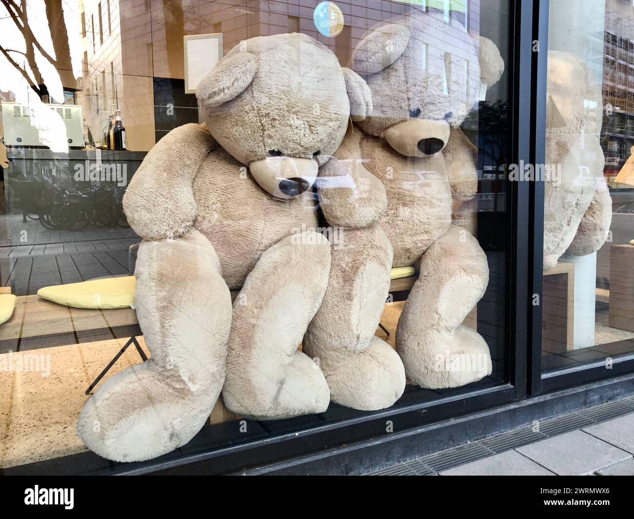 Plüschbären an Cafe-Fensterscheibe große Plüschbären quetschen traurig dreinblickend ihre Schnauzen an die Fensterscheibe eines Cafés. Bonn, Nordrhein-Westfalen, Deutschland 10.01.2023. Bonn, Nordrhein-Westfalen, Deutschland, 10.01.2023 *** Plüschbären auf Café-Fensterscheibe große Plüschbären quetschen traurig auf die Fensterscheibe eines Cafés aus Bonn, Nordrhein-Westfalen, Deutschland 10 01 2023 Bonn, Nordrhein-Westfalen, Deutschland, 10 01 2023 Copyright: JOKER/HartwigxLohmeyer JOKER230110064298 Stockfoto