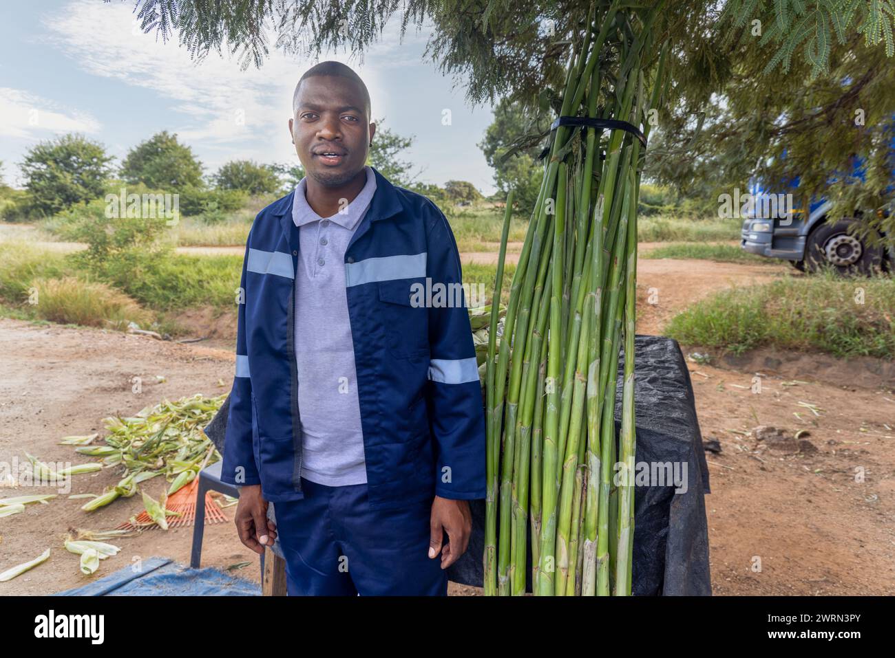 afrikanischer Straßenverkäufer, der Mais und süßes Schilf verkauft, Zuckerrohr am Straßenrand Stockfoto
