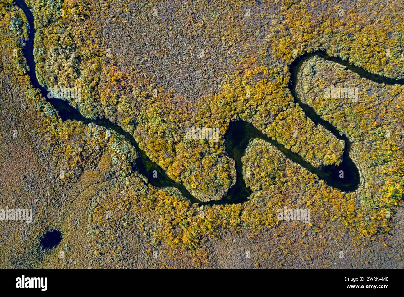 Luftaufnahme über den mäandernden Bach im Moorland im Herbst/Herbst bei Hedmark, Innlandet, Ostnorwegen Stockfoto