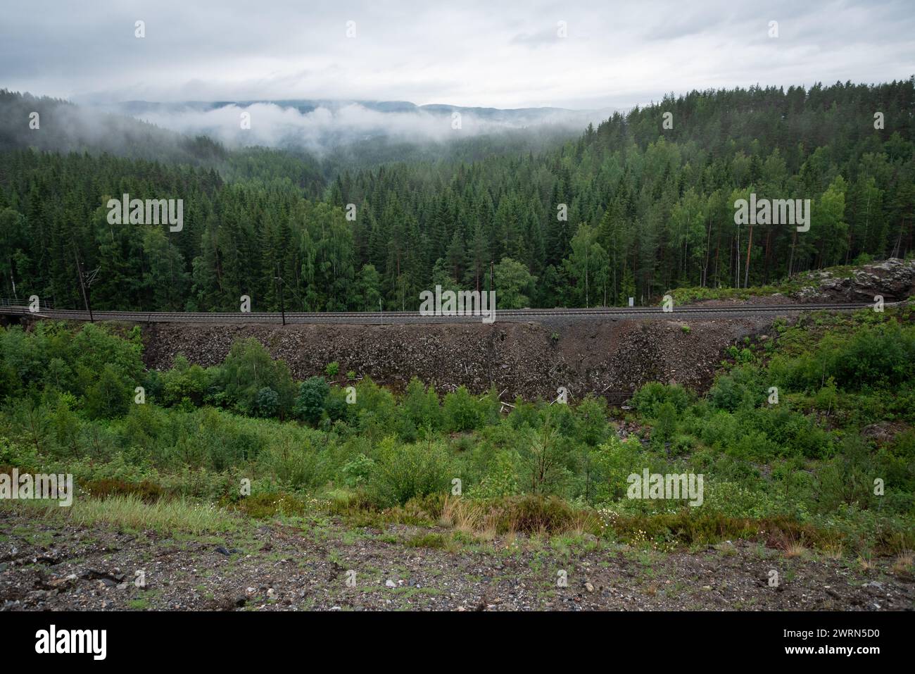 Zuggleise führen in den Bergen neben einem Wald aus grünen Nadelbäumen mit norwegischen Bergen und Fjorden im Hintergrund, umgeben von weißen Mis Stockfoto