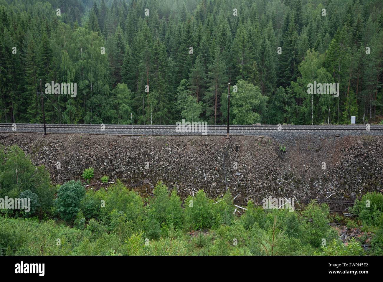 Die Bahngleise führen auf einem Berg neben einem grünen Nadelwald mit norwegischen Bergen Stockfoto