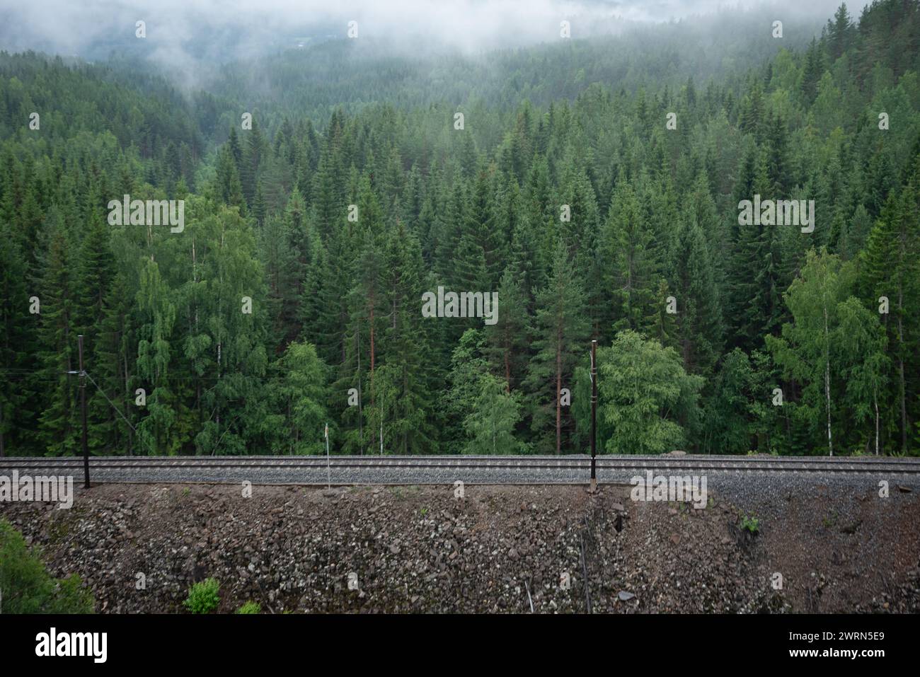 Zuggleise führen in den Bergen neben einem Wald aus grünen Nadelbäumen mit norwegischen Bergen und Fjorden im Hintergrund, umgeben von weißen Mis Stockfoto